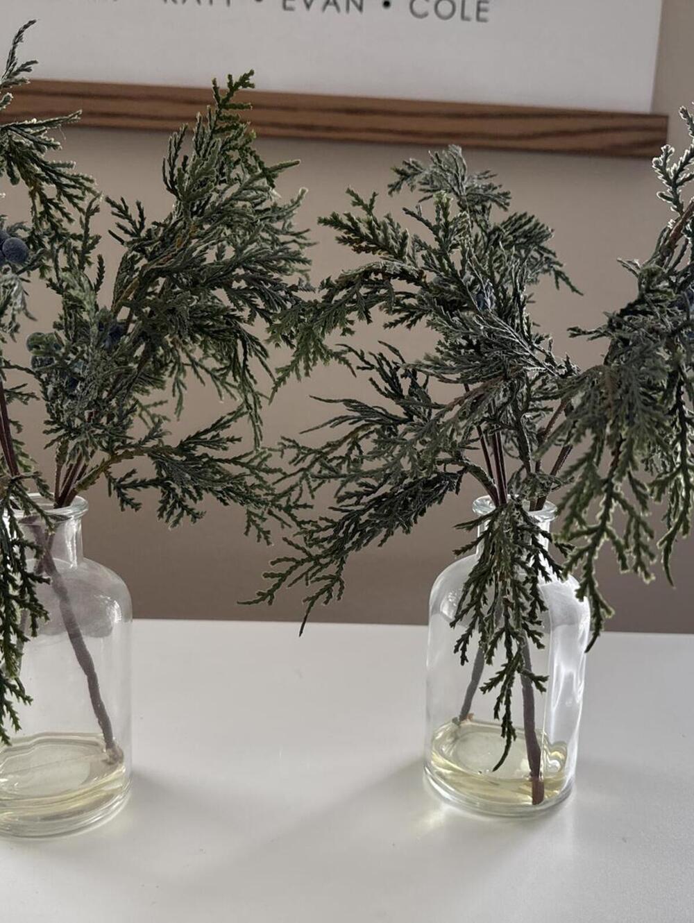 Faux Juniper Plant set (2) in Glass Jars